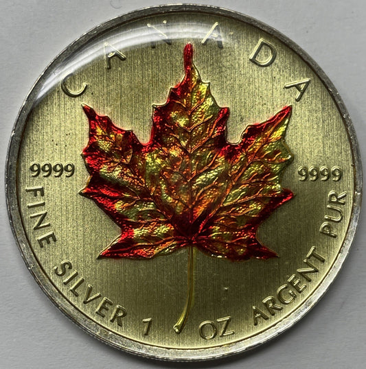 Image #1