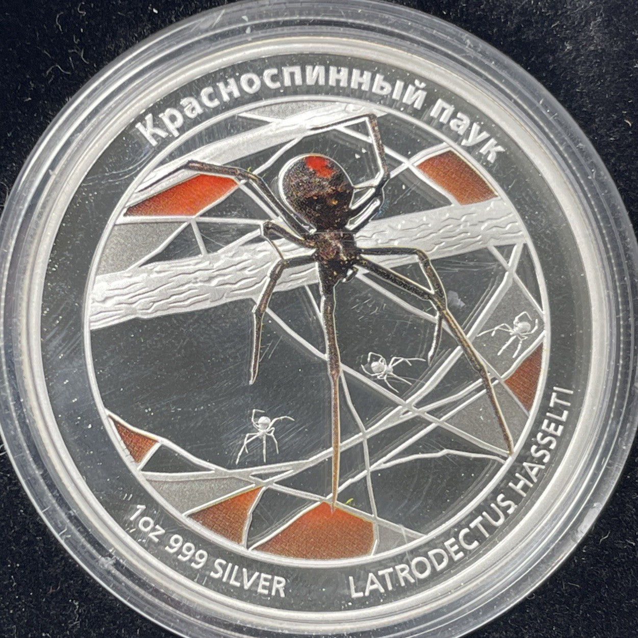 Image #2
