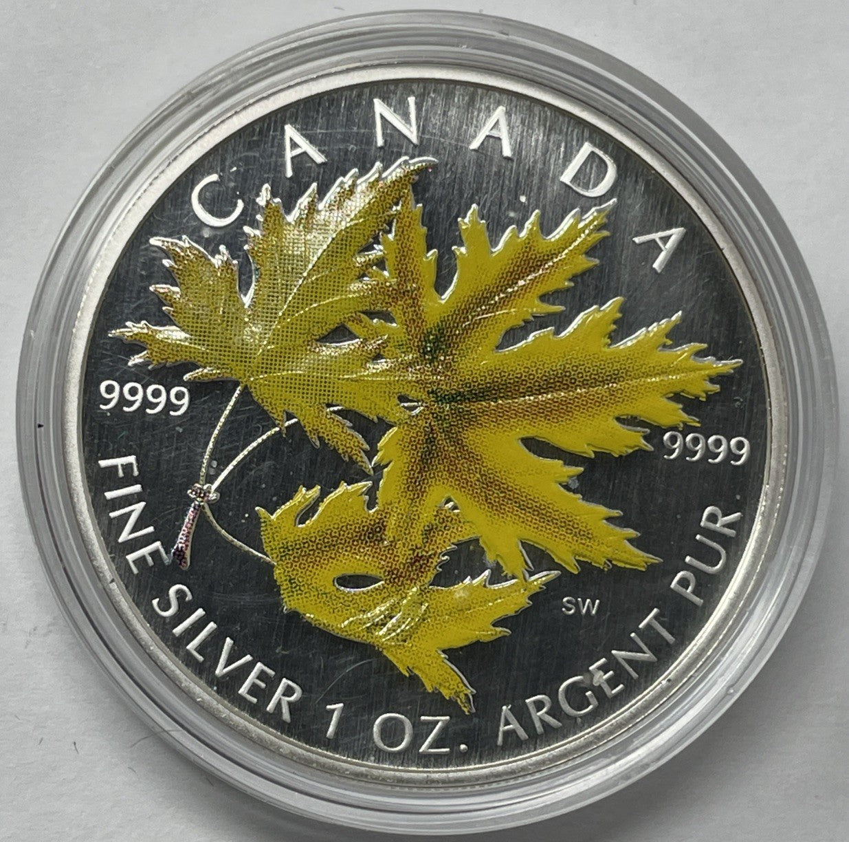 Image #1