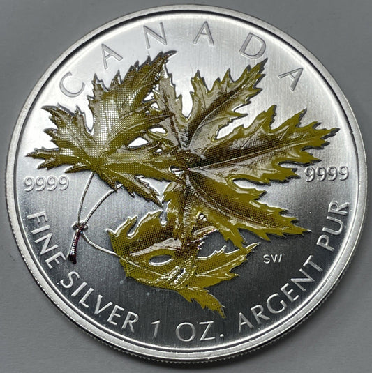 Image #1